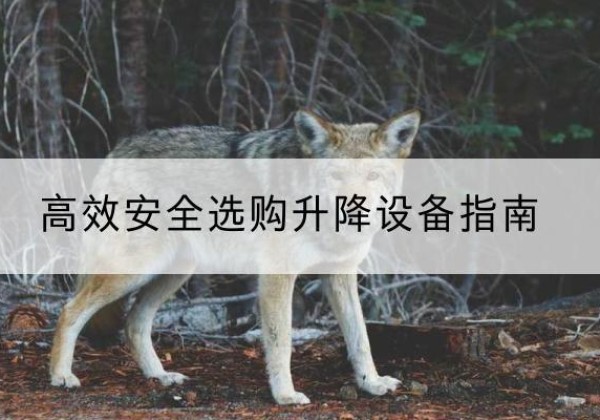 石鼓升降货梯厂家推荐-*安全选购升降设备指南