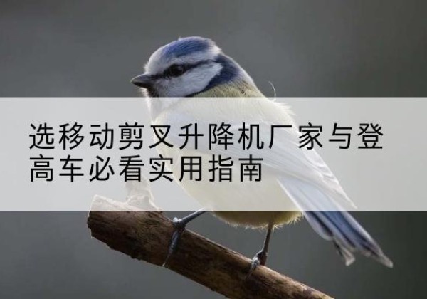 石鼓电动升降机厂家-选移动剪叉升降机厂家与登高车必看实用指南