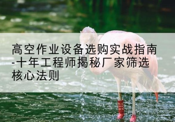 石鼓剪叉式升降机厂家-高空作业设备选购实战指南-十年工程师揭秘厂家筛选核心法则